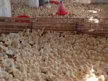 1748115435 2684454 0