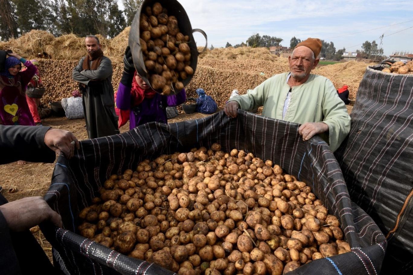 1706118834 185 290425 2941661258195222