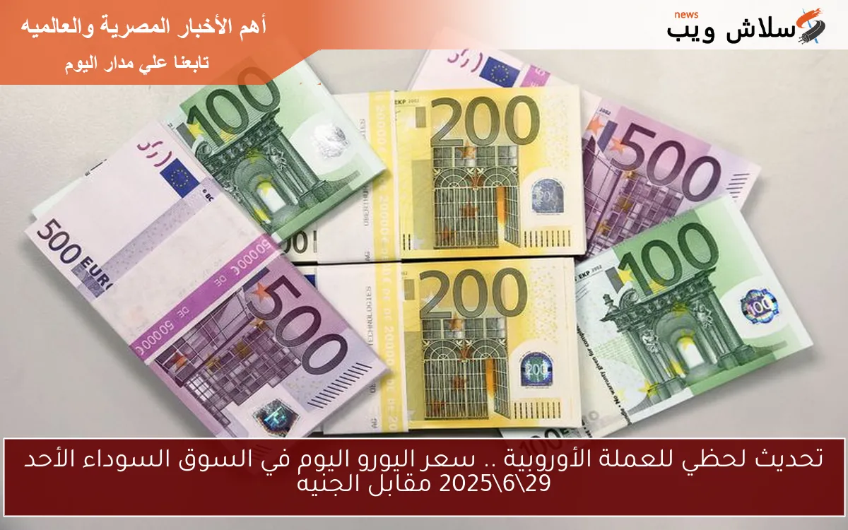 تحديث لحظي للعملة الأوروبية .. سعر اليورو اليوم في السوق السوداء الأحد 2962025 مقابل الجنيه