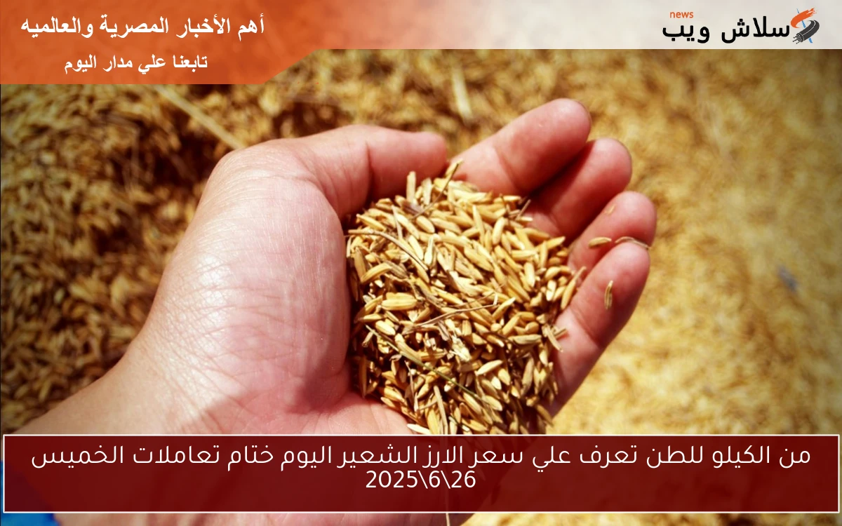 من الكيلو للطن تعرف علي سعر الارز الشعير اليوم ختام تعاملات الخميس 2662025