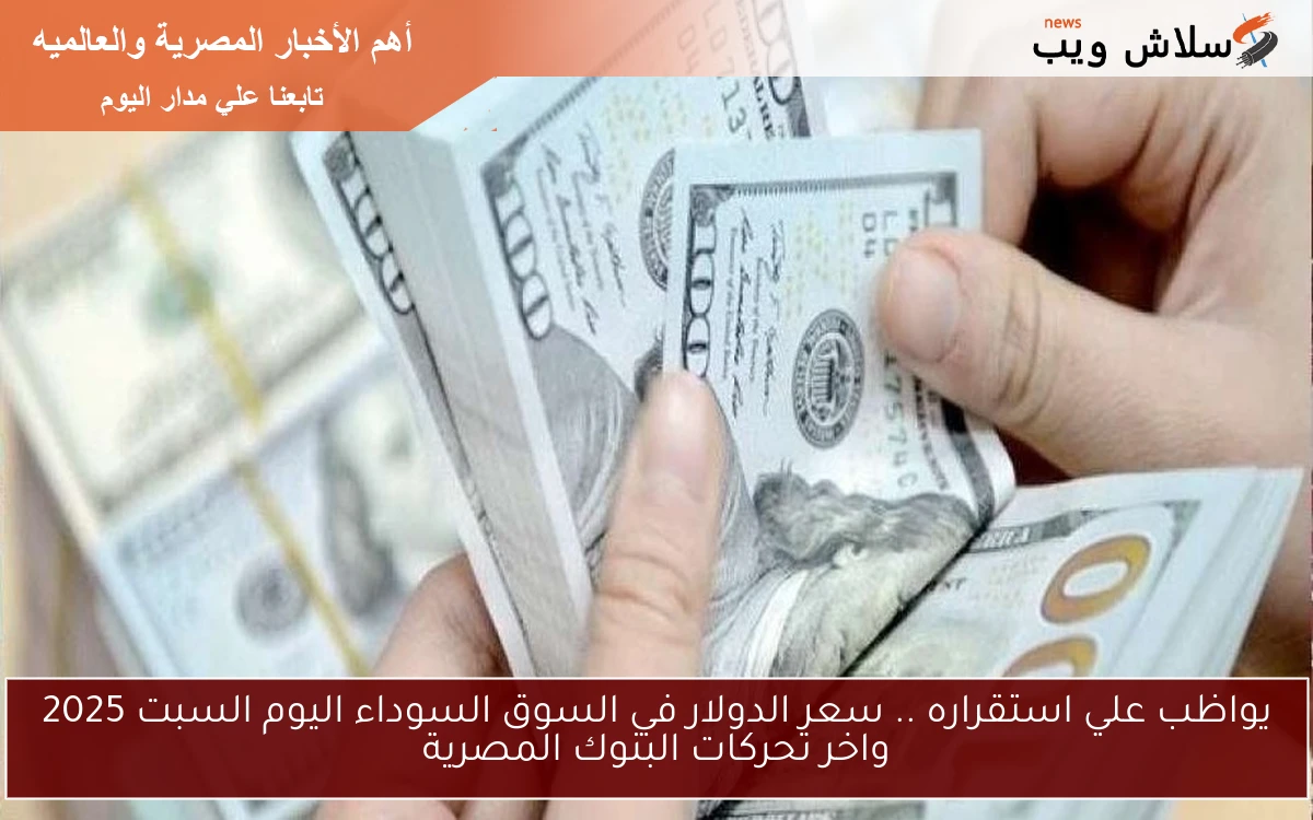 يواظب علي استقراره .. سعر الدولار في السوق السوداء اليوم السبت 2025 واخر تحركات البنوك المصرية