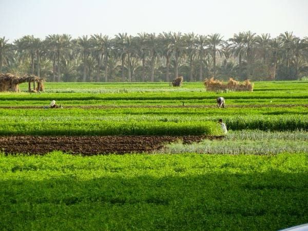 1752358231 170 64362 whatsappimage20250712at11.19.39pm