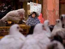 1752359415 2185903 0