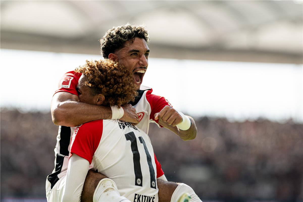 مرموش وإيكتيكي