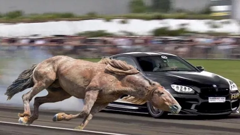 2025 7 7 14 11 56 211.webp