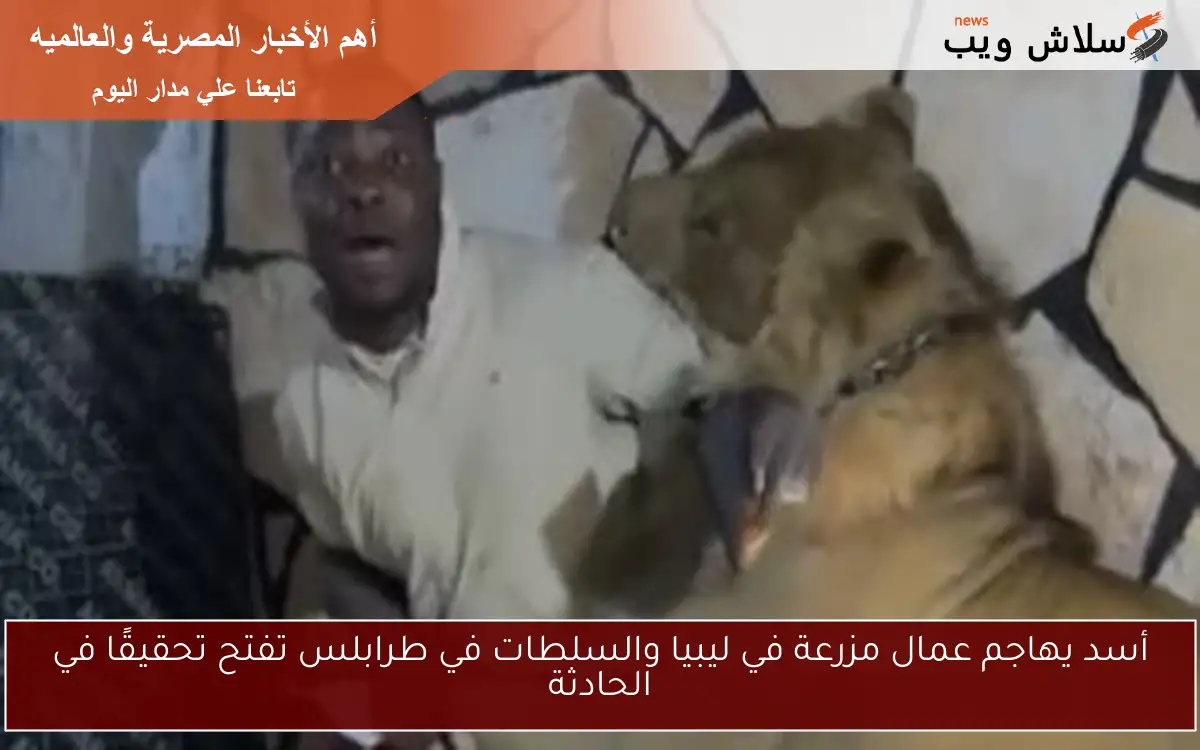 أسد يهاجم عمال مزرعة في ليبيا والسلطات في طرابلس تفتح تحقيقًا في الحادثة