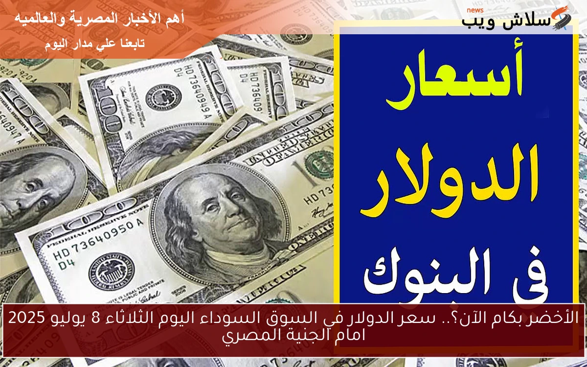 الأخضر بكام الآن؟.. سعر الدولار في السوق السوداء اليوم الثلاثاء 8 يوليو 2025 امام الجنية المصري
