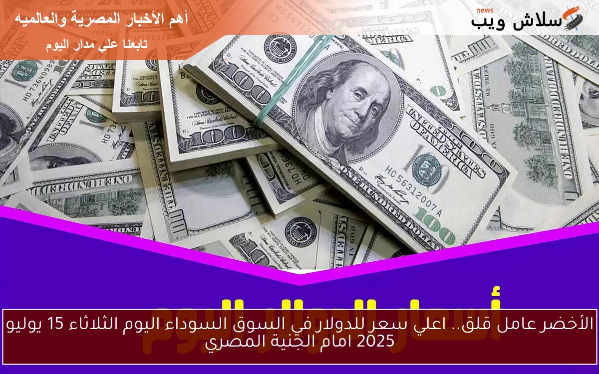 الأخضر عامل قلق.. اعلي سعر للدولار في السوق السوداء اليوم الثلاثاء 15 يوليو 2025 امام الجنية المصري