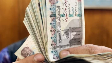 تطبيق فلوسي