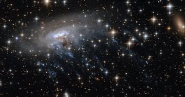 تلسكوب ويب يرصد مجرة ​​قنديل البحر المحتملة على بعد 12 مليار سنة ضوئية