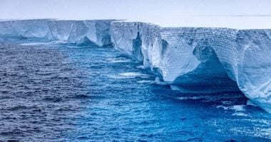 مخلوقات مجهرية تحارب تغير المناخ.. كيف تساهم مجدافيات الأرجل فى تبريد الكوكب؟