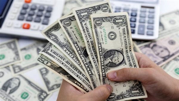 خبير اقتصادي: الاحتياطي النقدي المصري قوي رغم ارتباطه بالودائع الخليجية