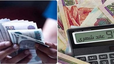 محللة اقتصادية: المركزي المصري مرشح لتثبيت الفائدة رغم الضغوط التضخمية