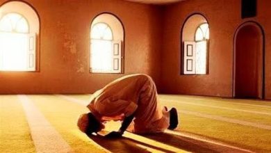 دار الإفتاء تحسم الجدل: الصلاة لا يغني عنها أحد ولا كفارة لتاركها|فيديو