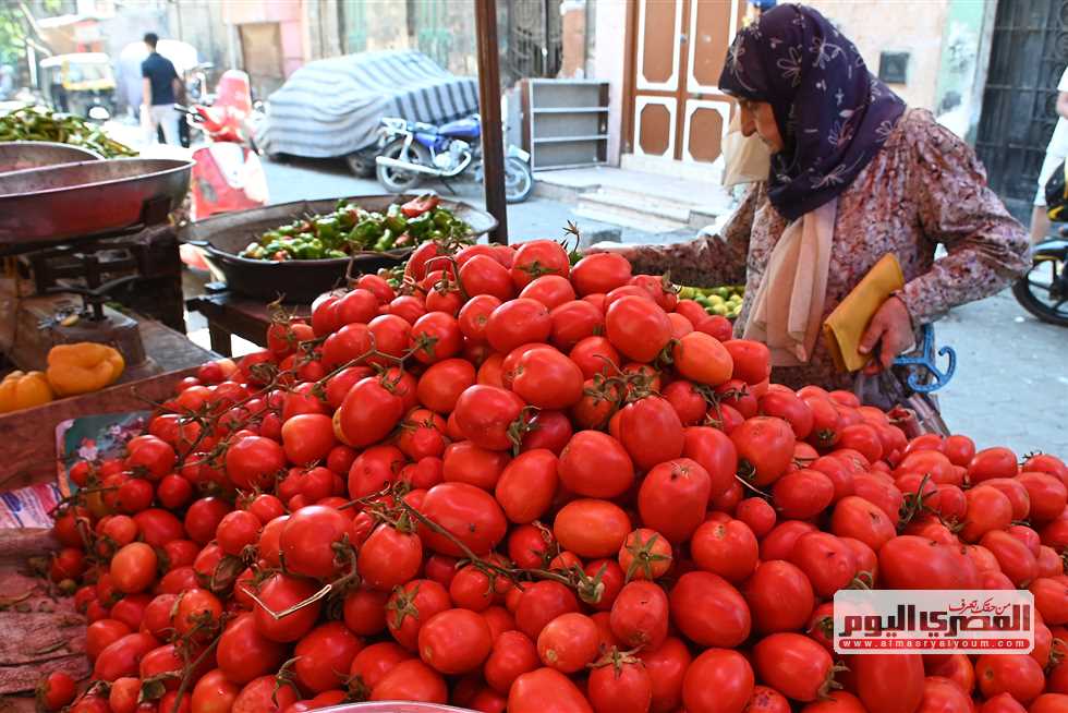الطماطم تبدأ من 10 جنيهات.. أسعار الخضروات اليوم الأحد 21 سبتمبر 2025 بأسواق الأقصر