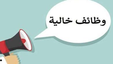 وظائف شاغرة بكلية الذكاء الاصطناعي جامعة المنوفية (الشروط وآخر موعد للتقديم)