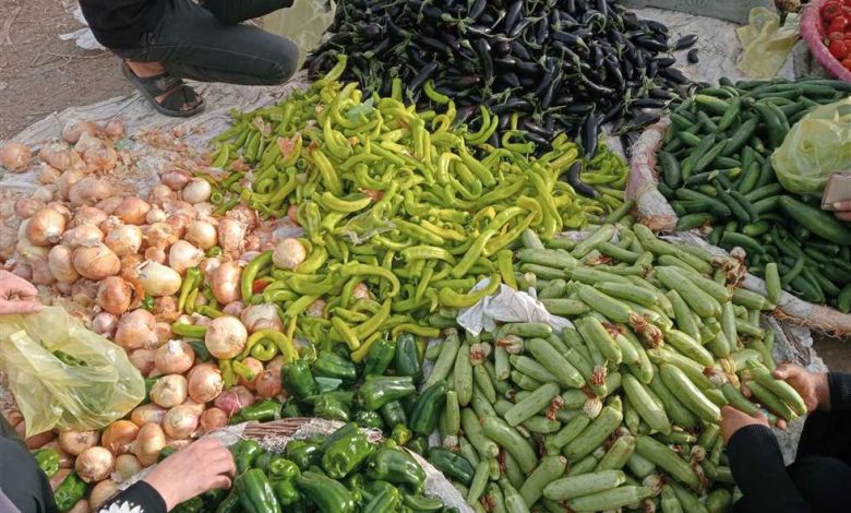 الطماطم بـ20 جنيهًا.. أسعار الخضار والفاكهة اليوم الجمعة 26 سبتمبر 2025 في أسواق الشرقية