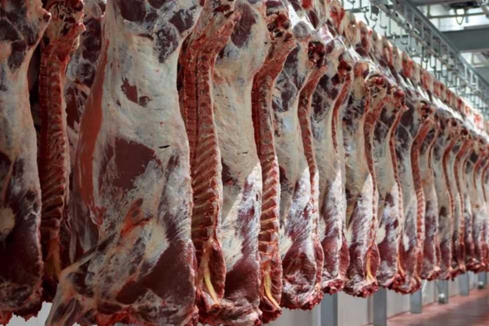 أسعار اللحوم اليوم السبت 21 فبراير 2026