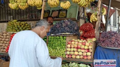 أسعار الخضروات والفواكه اليوم الخميس في شمال سيناء