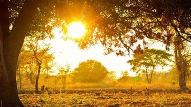 حالة الطقس اليوم الإثنين 29-9-2025 في القاهرة والمحافظات ودرجات الحرارة المتوقعة