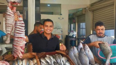 أسعار السمك في مطروح اليوم الخميس