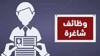 فرص عمل في السفارة الأمريكية بالقاهرة برواتب تصل إلى 23 ألف جنيه شهريًا