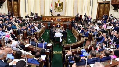 برلماني: دور الانعقاد السادس بمجلس النواب "استثناء تاريخي" يخدم المصلحة العامة