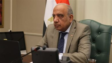 وزير الكهرباء: توطين الصناعة ونقل التكنولوجيا.. والتوسع بأنظمة تخزين الطاقة