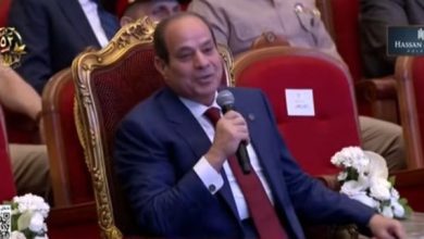 السيسي: التظاهر أمام السفارات ماهو إلا مكر وكذب وإفك