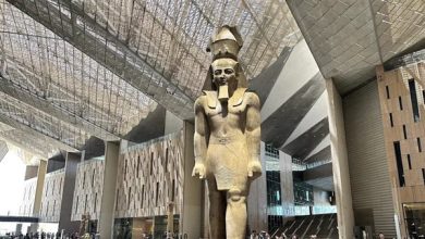 محافظ القليوبية يتابع استعدادات المحافظة للاحتفال بافتتاح المتحف المصري الكبير