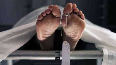 العثور على جثة مجهولة الهوية «متفحمة» داخل الزراعات في قوص بقنا