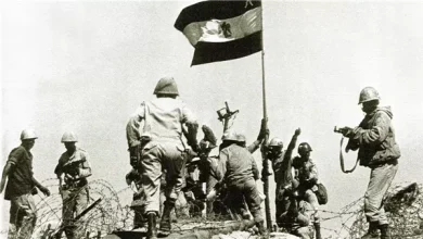 وزارة الدفاع تنشر مشاهد خالدة من حرب أكتوبر المجيدة | فيديو