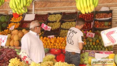 أسعار الفاكهة اليوم الجمعة 10 أكتوبر 2025 في أسواق الأقصر