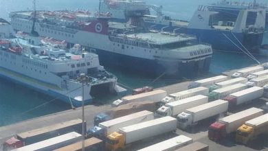 وصول 65 ألف طن قمح فرنسي مستورد وتصدير 34 ألف طن فوسفات بميناء سفاجا