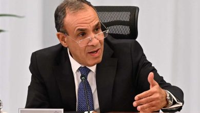 وزير الخارجية: نحاول إقناع حماس بقبول خطة ترامب