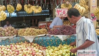 الموز بـ40 جنيهًا.. أسعار الفاكهة في أسواق الإسكندرية اليوم الأربعاء 15 أكتوبر 2025