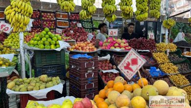 أسعار الخضروات والفواكه بشمال سيناء