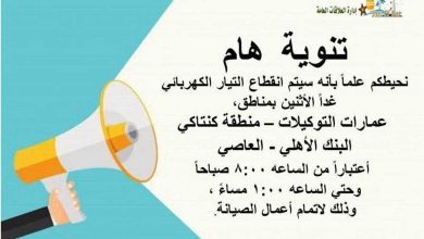 لمدة 5 ساعات.. انقطاع الكهرباء عن 4 مناطق بـ رأس البر غدًا