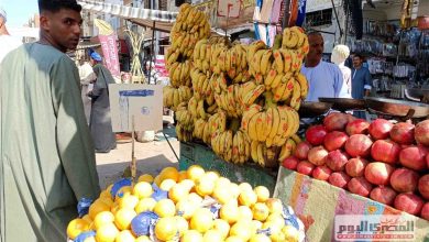 سعر الخوخ والموز والفاكهة بالأسواق اليوم الثلاثاء 28 أكتوبر 2025