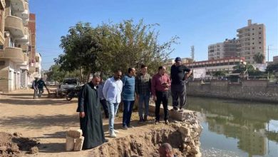 تعرض لانهيار جزئي.. إحلال وتجديد لحائط ساند بالبر الغربي لبحر مويس في الشرقية