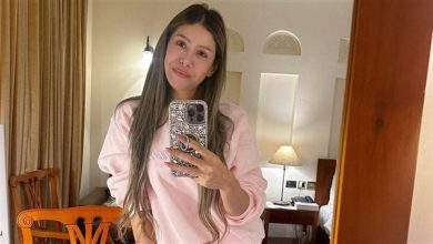 المطربة إيناس عز الدين تشارك في حفل هاني شاكر بمهرجان الموسيقى العربية