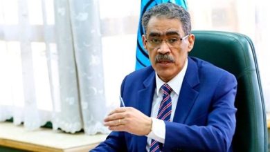 ضياء رشوان: اتفاق شرم الشيخ هو الأول بين فلسطين وإسرائيل بضمان دولي رباعي