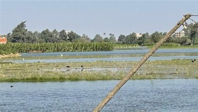 بعد التحذير بإخلائها.. مصدر يكشف مساحة طرح النهر المهددة بالغرق في المنوفية