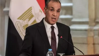 وزير الخارجية: لا تنازل عن حقوقنا المائية.. ونرفض الإجراءات في ملف سد النهضة