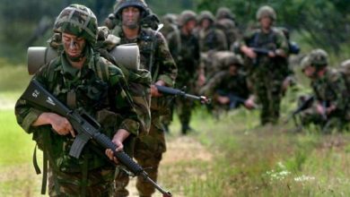 هند الضاوي: إيدي كوهين لبناني الأصل وتحوله للصهيونية مرتبط بالمصالح الشخصية