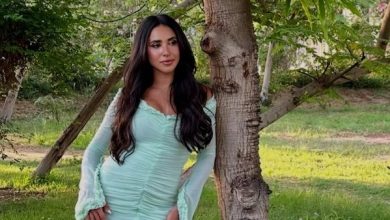 6241674701884202509041246194619