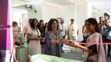 6541623514781202510180335243524