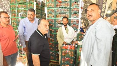 694950750531202510180916361636