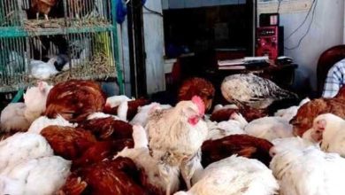 69920097559820251004032300230