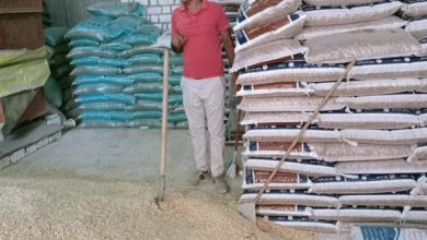 التحفظ على طن سكر وتحرير محاضر لمخابز وبداليين في بني سويف